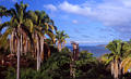 sayulita_view.jpg