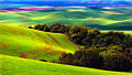 palouse_21.jpg