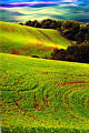 palouse_22.jpg