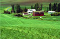 palouse_2.jpg