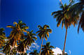 sayulita_beach9.jpg
