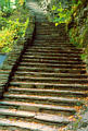 stairs2b.jpg