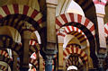 mezquita_arches1.jpg