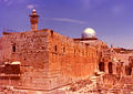 excavations1.jpg
