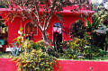 sayulita_redhouse.jpg