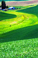 palouse_6.jpg