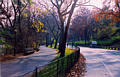 central_park.jpg