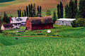 palouse_3.jpg