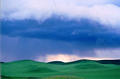 palouse_12.jpg
