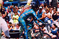 plaidbicyclist.jpg