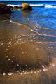 sayulita_beach5.jpg