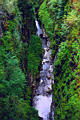 gorge49.jpg