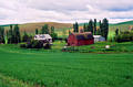 palouse_5.jpg