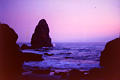 oregoncoast01.jpg