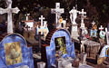 sayulita_cemetery1.jpg