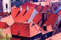 ptui_07.jpg