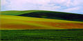palouse_26.jpg
