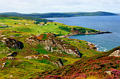 lochness62.jpg