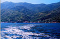 yelapa_harbor4.jpg