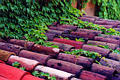 roof_tiles.jpg
