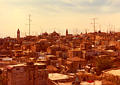 rooftops.jpg