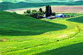palouse_1.jpg