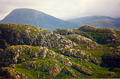 highlands59.jpg