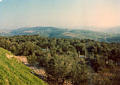 sebastia8.jpg
