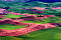 palouse_24.jpg