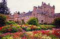 castle50.jpg