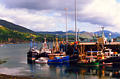 ullapool55.jpg