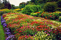 garden54.jpg