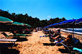 sayulita_beach6.jpg