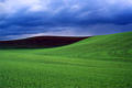 palouse_15.jpg