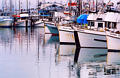 fishermanswharf14.jpg