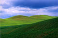 palouse_4.jpg